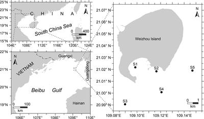 Seasonal variability of nektonic community structure and phylogenetic diversity in Weizhou Island, the Beibu Gulf